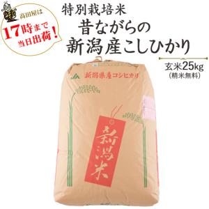 令和５年産　お米25kg　特別栽培米昔ながらの新潟産こしひかり 玄米25kg×1袋 / 白米4.5kg×5袋　送料無料（一部地域を除く）