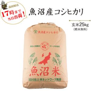 令和５年産 2等米 お米25kg 特別栽培米昔ながらの新潟産こしひかり