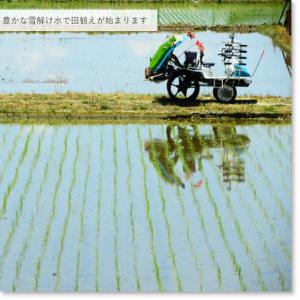 令和7年産 お米 2kg 魚沼産コシヒカリ2k...の詳細画像4