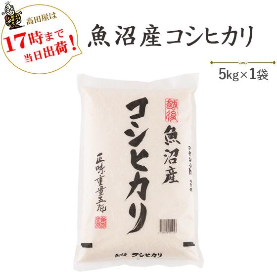 令和５年産　お米 5kg 白米 魚沼産コシヒカリ 5kg×1袋　※送料無料（一部地域を除く） 