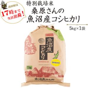 令和3年産 お米 5kg  特別栽培米桑原さんの魚沼産コシヒカリ 5kg×1袋