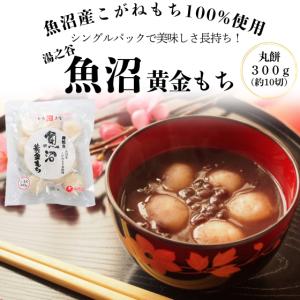 ツキオカ 純金 金箔109mm角 10枚 740730 取り寄せ品 池伝 : エクス