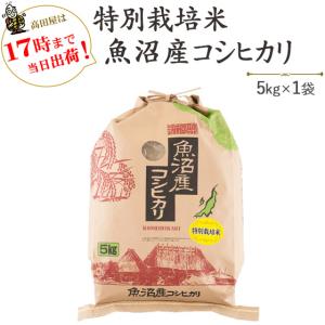 コシヒカリ 令和7年産 魚沼産コシヒカリ 10kg (5kg×2袋) お米 送料