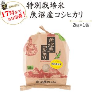 令和７年産　　お米 2kg  津南町ゆきやまと農場限定！特別栽培米魚沼産コシヒカリ　2kg×1袋　※送料無料（一部地域を除く）