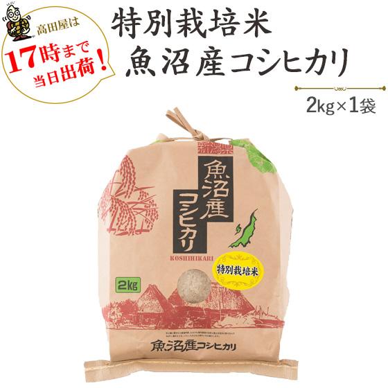 令和７年産　新米　お米 2kg  津南町ゆきやまと農場限定！特別栽培米魚沼産コシヒカリ　2kg×1袋...