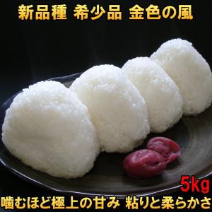 ひとめぼれ 米 お米 1等米100％ 玄米 30kg 白米にすると27kg 送料無料