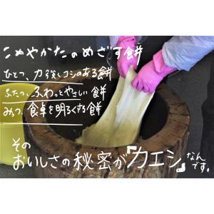 9/1予約受付スタート【12月発送】人力!杵つ...の詳細画像1