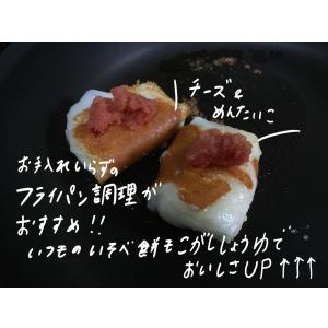 9/1予約受付スタート【12月発送】人力!杵つ...の詳細画像3