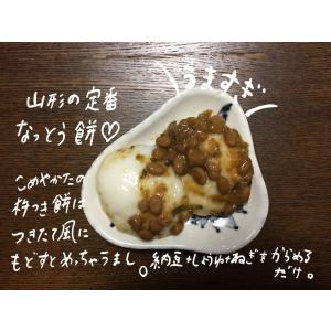 9/1予約受付スタート【12月発送】人力!杵つ...の詳細画像4
