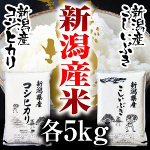 コシヒカリ 米 魚沼産コシヒカリ 10kg 2025年 最高級 お米 新米 : 酒と