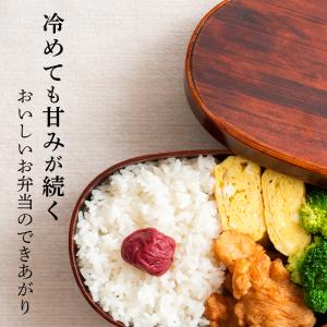 米 20kg 新潟県産 こしいぶき 5kg×4...の詳細画像3