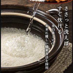 米 20kg 新潟県産 こしいぶき 5kg×4...の詳細画像4