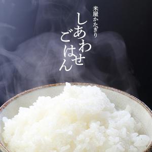 米 20kg 新潟県産 こしいぶき 5kg×4...の詳細画像5