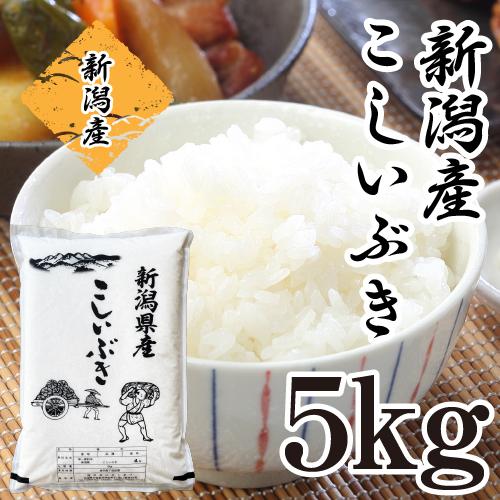 米 新潟県産 こしいぶき 5kg 令和5年産 米 送料無料 あすつく お米 新潟産 白米 精米 美味...