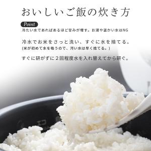 米 5kg 新潟県産 こしいぶき 5キロ 送料...の詳細画像5