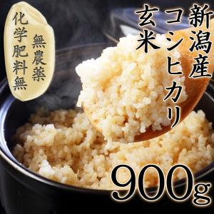 完売御礼 令和5年 無農薬玄米 900g 新潟産 コシヒカリ 玄米 お試し 少量 無農薬栽培 無化学肥料 美味しい玄米 おいしい米 送料無料 健康 ミネラル ビタミン