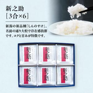 コシヒカリ 米 20kg 新潟 送料無料 あすつく 5Kg×4 20キロ 令和7年産