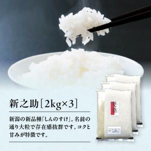 コシヒカリ 米 20kg 新潟 送料無料 あすつく 5Kg×4 20キロ 令和7年産