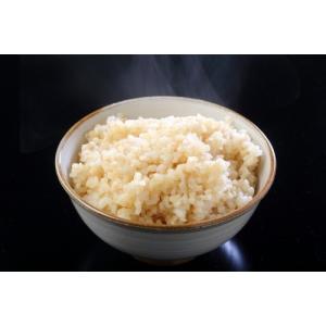 新米 無農薬玄米 2kg 令和8年産 玄米 無...の詳細画像2