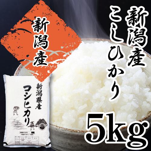 米 令和5年 米 5Kg 送料無料 コシヒカリ 新潟 あすつく 新潟県産 こしひかり 美味しいお米 ...