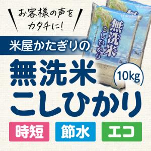 米 令和5年 無洗米 10Kg 5Kg×2 送料無料 コシヒカリ 新潟 あすつく 米 新潟県産 こしひかり 美味しい お米 白米 おいしいお米 美味しい米