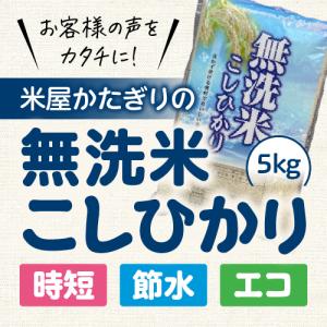お米 無洗米 こめやのおこめ(エコノミー品) 5kg 米 おこめ 白米 精米