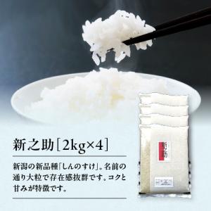 コシヒカリ 米 10kg 新潟 送料無料 あすつく お米 5kg×2 10キロ 新潟