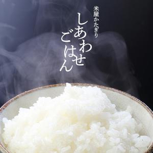【新米】 令和8年産 新潟産 にじのきらめき ...の詳細画像3
