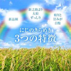 【新米】 令和8年産 新潟産 にじのきらめき ...の詳細画像1