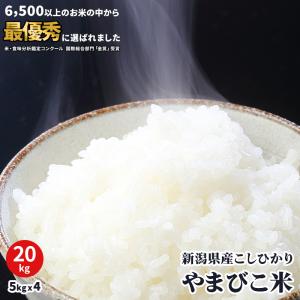 コシヒカリ 米 20kg 新潟 送料無料 あすつく 5Kg×4 20キロ 令和7年産