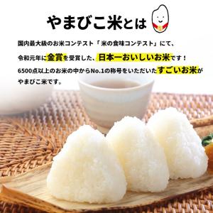 米 10kg 5kg×2 新潟産 コシヒカリ ...の詳細画像1