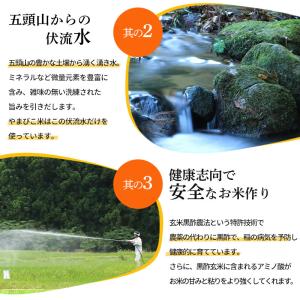 米 10kg 5kg×2 新潟産 コシヒカリ ...の詳細画像3