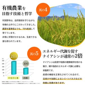米 10kg 5kg×2 新潟産 コシヒカリ ...の詳細画像4