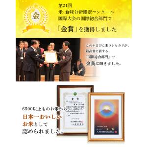 米 10kg 5kg×2 新潟産 コシヒカリ ...の詳細画像5