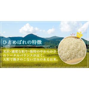 米 お米 令和7年産 福島県中通り産 ひとめぼ...の詳細画像2
