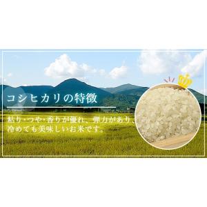 米 お米 令和7年産 福島県中通り産 コシヒカ...の詳細画像2