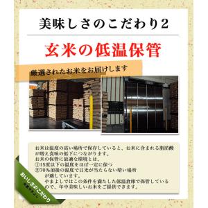 【セール】米 お米 令和7年産 福島県中通り産...の詳細画像5