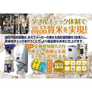 【セール 9/10まで】米 お米 令和7年産 ...の詳細画像1