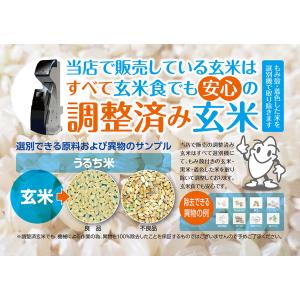 【調整済】福島県中通り産 ミルキークイーン 玄...の詳細画像1
