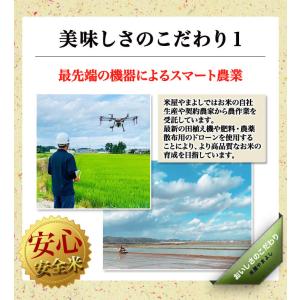 【調整済】福島県中通り産 ミルキークイーン 玄...の詳細画像4