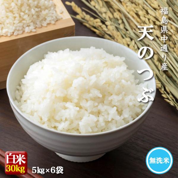 【無洗米】業務用 米 お米 令和7年産 福島県中通り産 天のつぶ 白米:30kg(5kg×6個) 送...