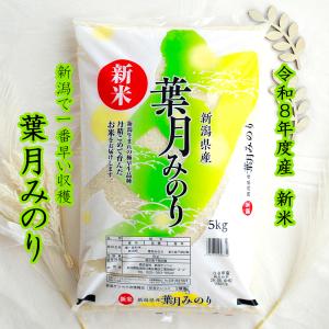 新米 新潟県産葉月みのり（令和8年産）5kg【送料無料（本州のみ）】