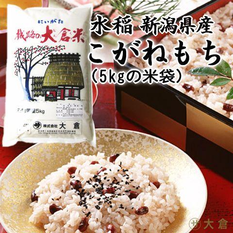 【 もち米 】新潟県産こがねもち米（ 令和7年産 ） 1kg