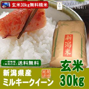 新潟県産ミルキークイーン（令和4年産）玄米30kg【送料無料（本州のみ）】