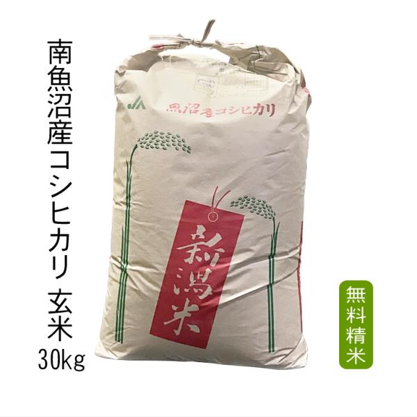 玄米 30kg 南魚沼産 コシヒカリ （ 玄米 ） 令和5年産 2等米 30kg【 送料無料 （ 本...