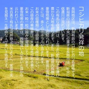 令和7年産 新潟県長岡産 コシヒカリ 玄米30...の詳細画像4