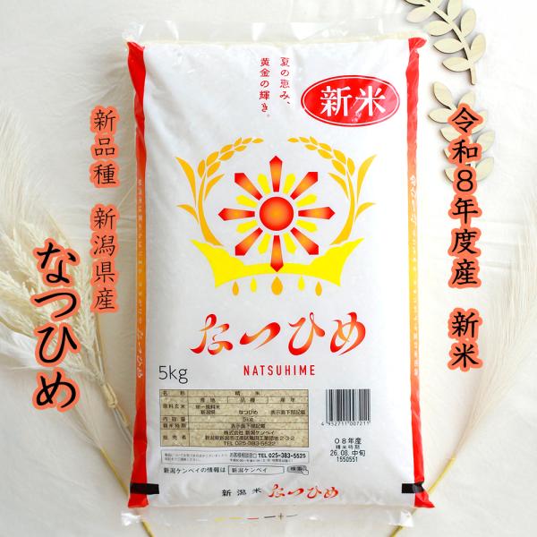 新米 新潟県産 なつひめ（ 令和8年産 ） 5kg 【 送料無料 】