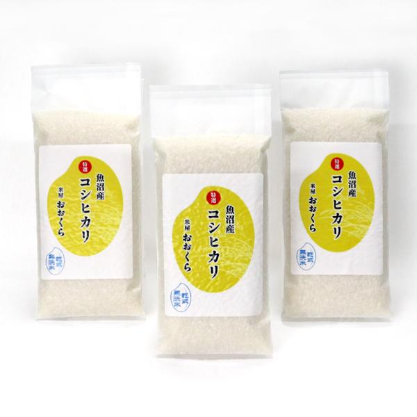 お米 ギフト 新米 無洗米（乾式） 特選 魚沼産 コシヒカリ 使い切りパック300g（約 2合）3パ...
