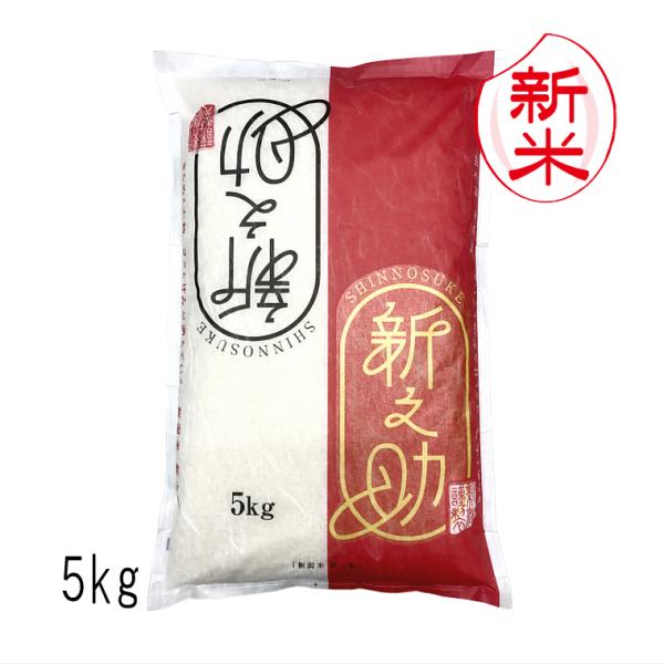 新米 新之助 新潟米 （ 令和7年産 ） 5kg 【 送料無料　（本州のみ）】