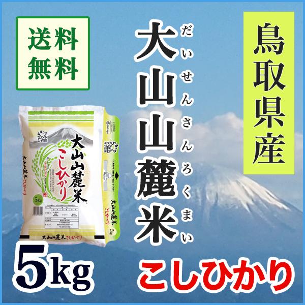 米 5年産 精米 こしひかり 5kg 送料無料 鳥取県 大山山麓米